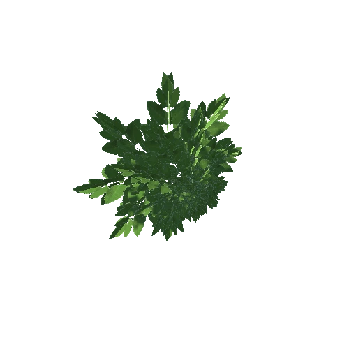 Plant00Bush2 Variant